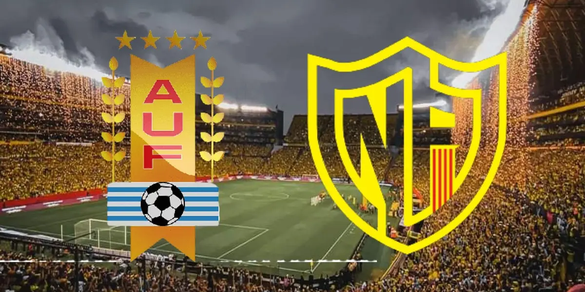 Diego Godín se retiró del fútbol profesional, Lo anunció después del último partido con su club Vélez Sarsfield