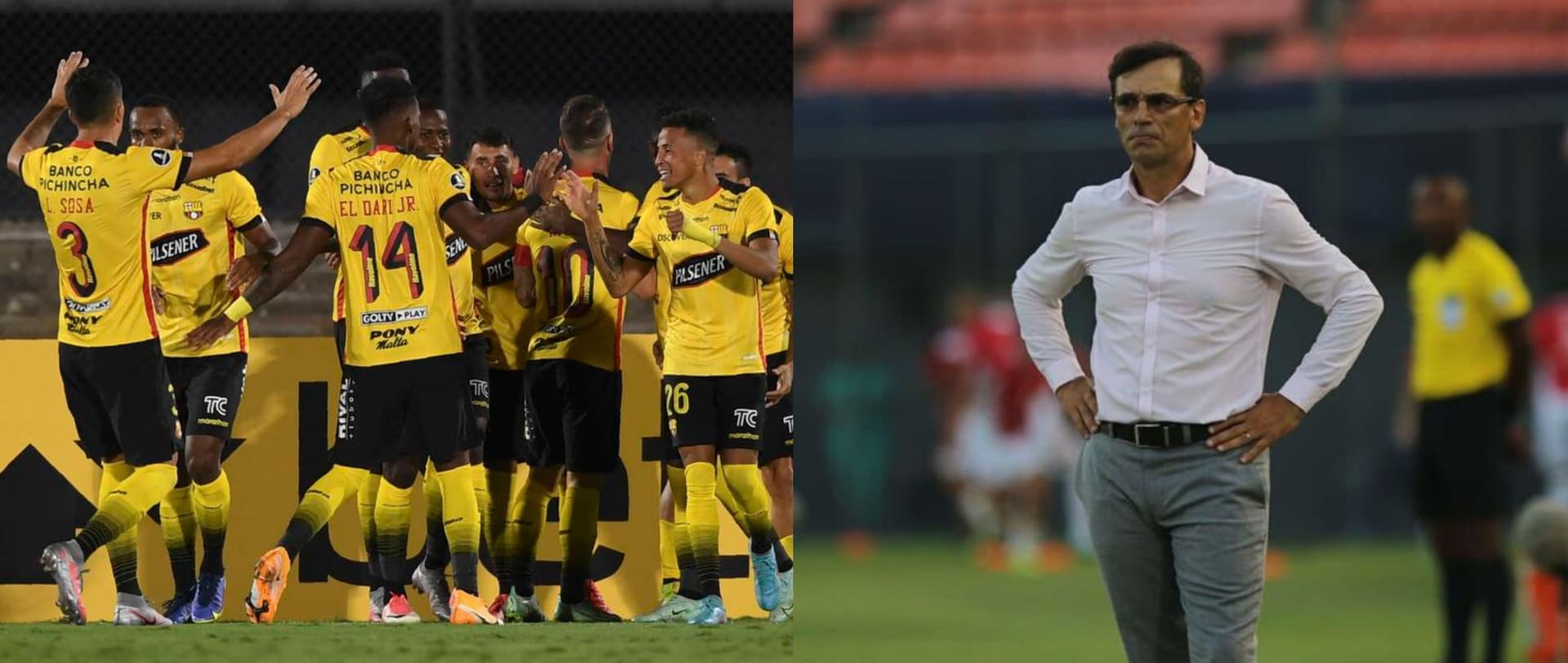 El europe se enamoraría del club torero