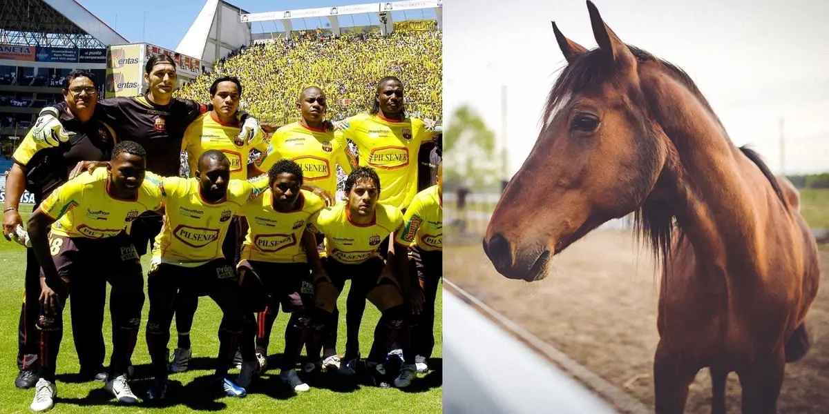 El ex jugador de Barcelona SC hoy se dedica a cuidar caballos