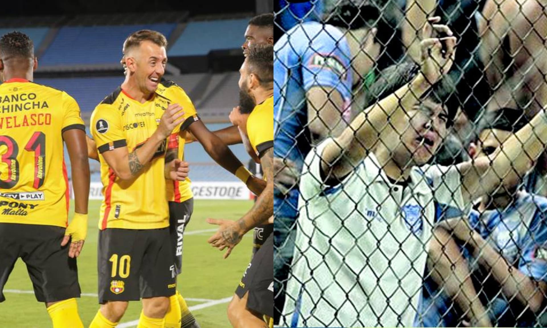 El símbolo de las Coquetas siempre quiso vestirse de amarillo.