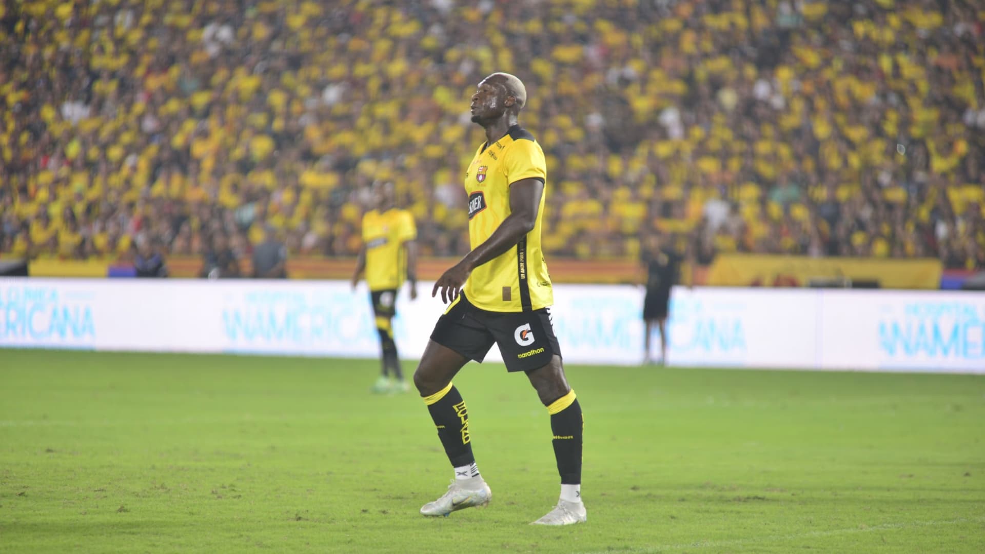 Felipe Caicedo / Foto tomada de: API