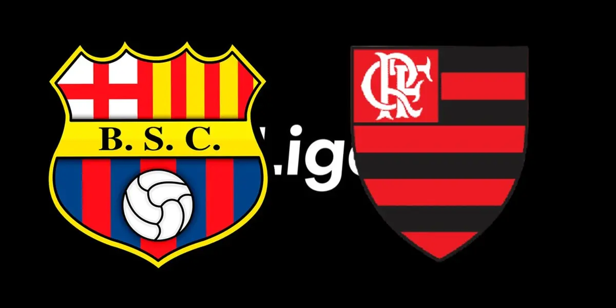 Uno de los mejores jugadores de la categorías formativas vuelve después de su pasantía en el Flamengo